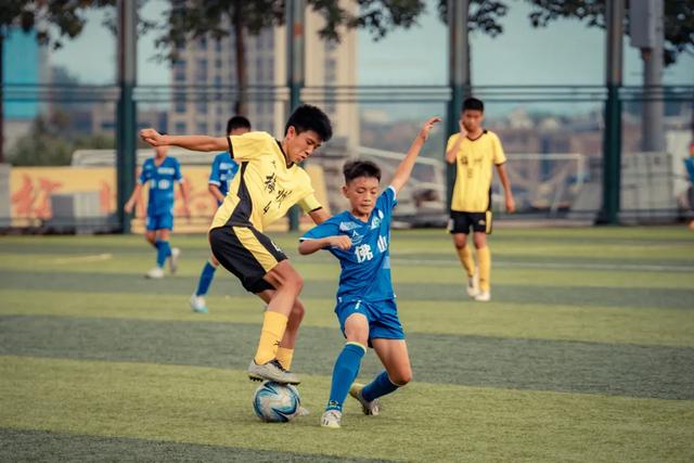 大力支持职, yid