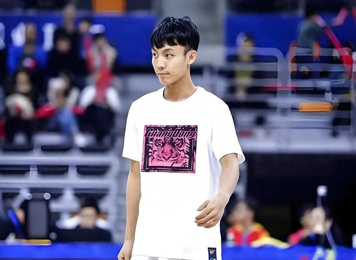 博斯科, tenan, 好帮手 博斯科, tenan, 好帮手